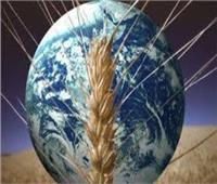 أزمة الغذاء العالمية تتفاقم: 40٪ من المحاصيل مهددة بالانقراض بسبب التغيرات المناخية