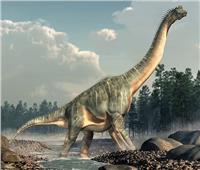 عاش قبل 160 مليون سنة.. العثور على أكبر هيكل عظمي لديناصور بأوروبا 