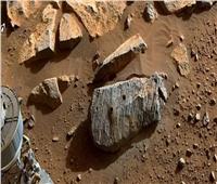 علماء: صخور المريخ تشير إلى وجود كائنات فضائية 