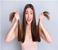 لجمال شعرك .. فوائد «ماء الفول» لتعزيز البروتين في الشعر