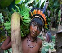 انقراض قبيلة من السكان الأصليين في «الأمازون»