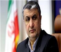رئيس الطاقة الذرية الإيرانية: نمتلك «اليد الطولى» في المفاوضات