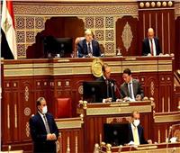 عضو الشيوخ يلتقي رئيس «مصر للغزل والنسيج» ويطرح اقتراحات تطويرية    