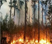 أشتعال النيران بالغابات المطيرة بالبرازيل