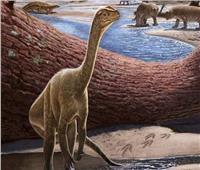 عمره 230 مليون سنة.. العثور على أقدم ديناصور في أفريقيا