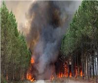 إعلان حالة الطوارئ في كاليفورنيا بسبب استمرار حرائق الغابات