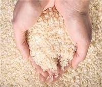 التموين: نستورد الأرز عندما يرتفع سعره محليا فقط لإحداث توازن بالأسواق