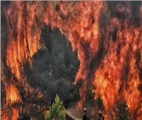 حريق هائل يلتهم غابات كاليفورنيا.. ومصرع شخصين