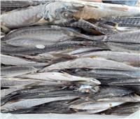 ضبط 6 أطنان أسماك مجمدة غير صالحة للاستهلاك بالبحيرة 