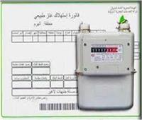 «البترول» تطالب المواطنين بتسجيل قراءة عداد الغاز