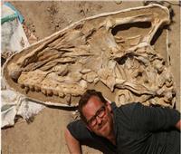عمرها 66 مليون سنة.. العلماء يكتشفون أحفورة موساسور في المغرب 