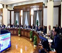 الحكومة: تقدم مصر 19 مركزًا في مؤشر التنمية البشرية 