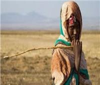 وزيرة البيئة: إطلاق مبادرة حياة كريمة فى إفريقيا لمقاومة المناخ   