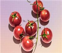 نصائح صحية.. هل يسبب تناول «الطماطم» التهابات؟