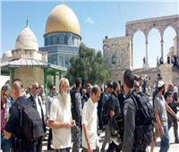 عشرات المستوطنين الإسرائيليين يقتحمون المسجد الأقصى بحماية شرطة الاحتلال