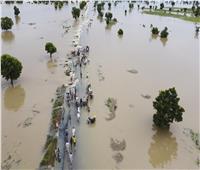 الفيضانات تودي بحياة 300 شخص في نيجيريا