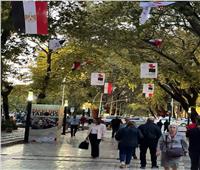 أعلام مصر تزين الشوارع الرئيسية بالعاصمة تيرانا
