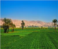 تقرير دولي يُشيد بتطور القطاع الزراعي في مصر