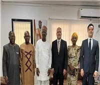سفير مصر في غينيا يبحث تعزيز التعاون مع وزير الطاقة والهيدروليك والمحروقات الغيني