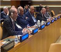 وزير الخارجية يشارك في اجتماع وزراء خارجية مجموعة الاتصال العربية