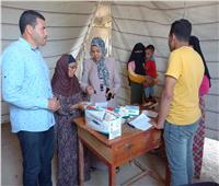 الكشف على 300 مواطن خلال قافلة طبية مجانية في قرية بالبحيرة 