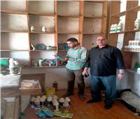 ضبط مبيدات زراعية وسلع غذائية منتهية الصلاحية خلال حملة بأبو حمص بالبحيرة 