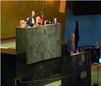 سامح شكري: متمسكون بالموقف الأفريقي لإصلاح مجلس الأمن