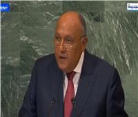 سامح شكري: مصر تؤكد تمسكها بالموقف الأفريقي لإصلاح مجلس الأمن