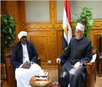 وكيل الأزهر يستقبل الأمين العام للمجلس الإسلامي بجنوب السودان 