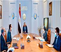 الرئيس السيسي يتابع جهود تطوير منظومة صناعة الألمونيوم في مصر