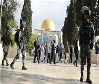 القوات الإسرائيلية تعتقل فلسطينيين اثنين من «المسجد الأقصى»