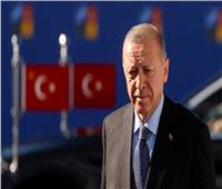 أزمة دبلوماسية بين تركيا وألمانيا بعد وصف نائب رئيس البرلمان لأردوغان بـ«جرذ المجاري»