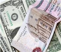 ماذا يرى الخبراء بشأن سعر الجنيه المصري مقابل الدولار؟