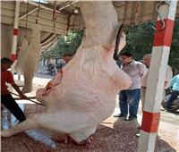 حملات رقابية مفاجئة على  محال اللحوم والتجار بالشرقية 