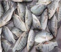 استقرار اسعار الأسماك في سوق العبور اليوم  2 اكتوبر