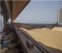 سفينة تابعة للأمم المتحدة تنقل القمح الأوكراني إلى الصومال