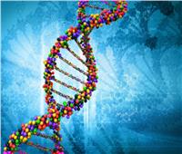 البحث العلمي : 98% من البشر متشابهين في الجينات.. فيديو