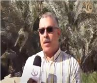 أبرز المشروعات الزراعية في محافظة الوداي الجديد| فيديو