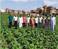  مدرسة حقلية إرشادية عن زراعة محصول بنجر السكر بالشرقية 
