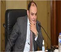 وزير الصناعة يُعيد النائب عادل ناصر رئيسا لغرفة الجيزة التجارية 