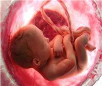 علماء: رئات الأجنة هدف سهل لـ «الكربون الأسود» خلال أول 12 أسبوعاً من الحمل 