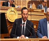 محمد حلاوة: مشروع قانون «الأعلى لصناعة السيارات» يشجع النهوض بالاقتصاد الوطني