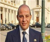برلماني: إدراج الطاقة المتجددة بالمؤتمر الاقتصادي يعزز تجربة مصر في هذا القطاع