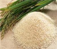 البحوث الزراعية: الأرز والقمح هذا العام أعلى إنتاجية من 10 سنوات ماضية 