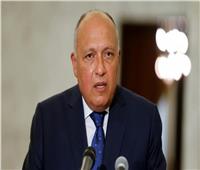 الاجتماع مغلق.. بدء لقاء وزير خارجية ونظيره الهندي بالقاهرة 