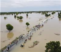 الفيضانات في نيجيريا تودي بحياة أكثر من 500 شخص