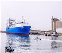 ميناء دمياط يستقبل 12 سفينة اليوم.. منها ناقلة الغاز المسال