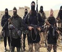الباحث منير أديب يكشف: هكذا خرج التنظيم الإرهابي من رحم «الإخوان»؟