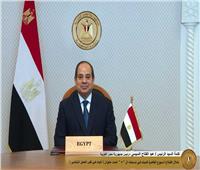 الرئيس السيسي: مصر تحلم بالسعي المشترك لتعظيم ثروة حوض النيل