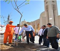 محافظ الغربية يشهد زراعة أشجار بمحيط السيد البدوي.. ضمن 100 مليون شجرة 